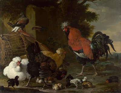 《一只公鸡、母鸡和小鸡》（A Cock, Hens and Chicks） Melchior de Hondecoeter 绘画（1636-1695）布面油画约 1668-1670 暗淡 85.5x110 厘米，伦敦国家美术馆 作者 Melchior de Hondecoeter