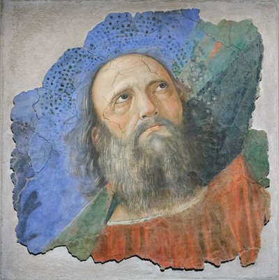 使徒头像，约 1480 年（壁画） 作者 Melozzo da Forli