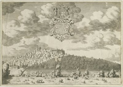 杜德利城堡：铜版画，nd [1653-1686] (印刷品) 作者 迈克尔·伯格斯