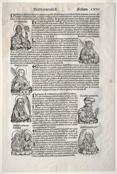 纽伦堡纪事报，1493年。 作者 迈克尔·沃尔吉姆特