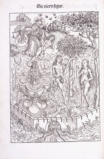 亚当和夏娃在伊甸园，1491年 作者 迈克尔·沃尔格姆斯