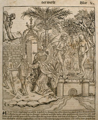 亚当和夏娃，来自Hartmann Schedel（1440-1514）的&39;Liber Chronicarum&39;的插图，于1493年在纽伦堡出版 作者 迈克尔·普莱登伍夫（W. Wolgemuth）