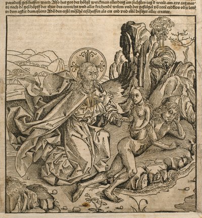 父神在亚当的肋骨上创造夏娃，来自Hartmann Schedel（1440-1514）的&39;Liber Chronicarum&39;的插图，于1493年在纽伦堡出版 作者 迈克尔·普莱登伍夫（W. Wolgemuth）