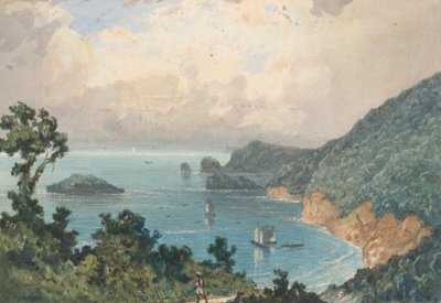 特立尼达岛北海岸，来自北邮报 作者 米歇尔·让·卡萨邦