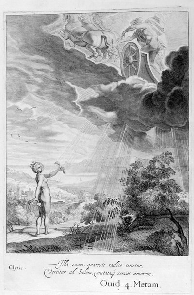 克莱蒂（Clytie）变成了向日葵，1655年 作者 米歇尔·德·马洛雷斯