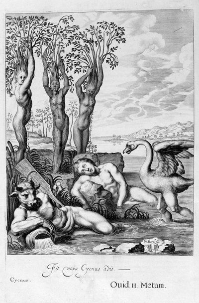 天鹅座变成了天鹅，辉腾姐妹变成了杨树，1655年 作者 米歇尔·德·马洛雷斯
