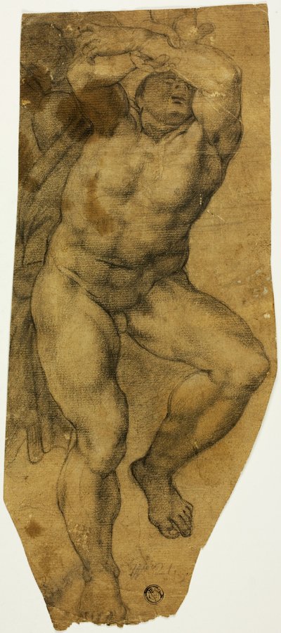 上升的男性裸体 作者 米开朗基罗（Michelangelo Buonarroti）
