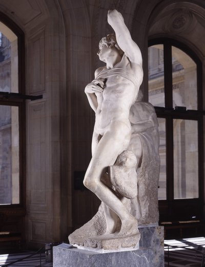 俘虏，被称为垂死的奴隶 作者 米开朗基罗（Michelangelo Buonarroti）