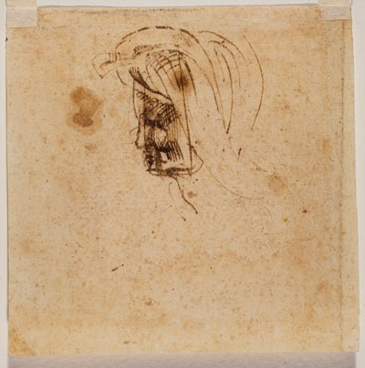 女性头部 作者 米开朗基罗（Michelangelo Buonarroti）