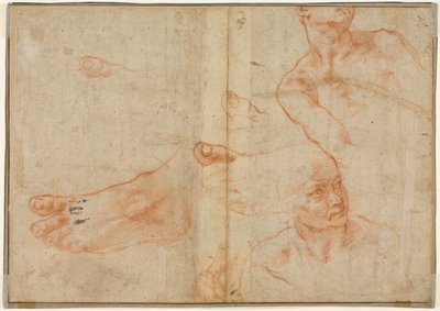 西斯廷天花板图案研究（背面） 作者 米开朗基罗（Michelangelo Buonarroti）