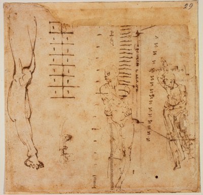 图表研究 作者 米开朗基罗（Michelangelo Buonarroti）