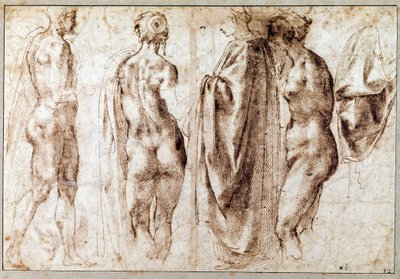 一组四人站立的人物和一幅悬垂画，由 Michelangelo Buonarroti dit Michelangelo (Michelangelo or Michel Ange) 笔下的 作者 米开朗基罗（Michelangelo Buonarroti）