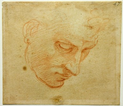 西斯廷教堂天花板的头部研究，约1509-1510 作者 米开朗基罗（Michelangelo Buonarroti）