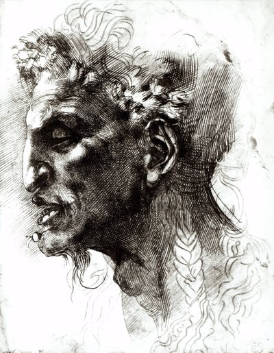 萨特的头 作者 米开朗基罗（Michelangelo Buonarroti）