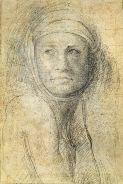 一个女人的头 作者 米开朗基罗（Michelangelo Buonarroti）