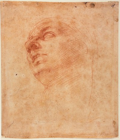 西斯汀约拿的头部研究 作者 米开朗基罗（Michelangelo Buonarroti）