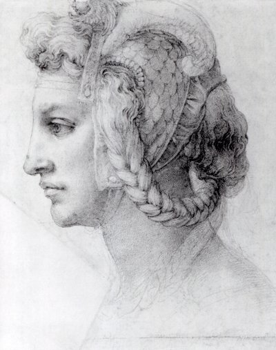 理想的女人头，c.1525-28（纸上的黑色粉笔） 作者 米开朗基罗（Michelangelo Buonarroti）