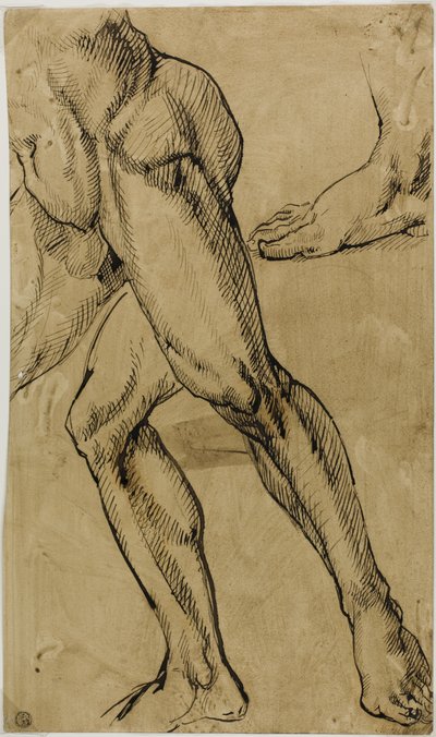 男性裸体的腿和脚 作者 米开朗基罗（Michelangelo Buonarroti）