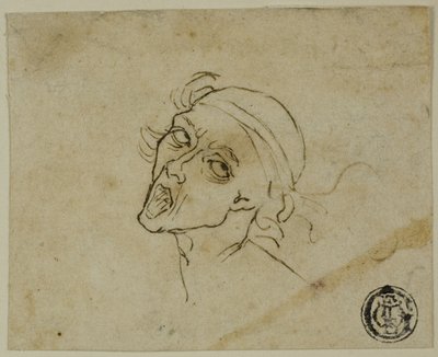 男性头部 作者 米开朗基罗（Michelangelo Buonarroti）