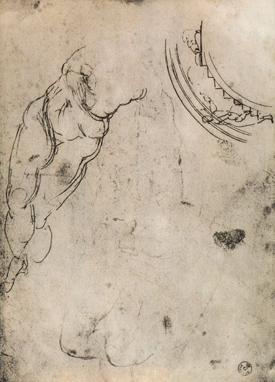 男性的腿，由米开朗基罗研究。内阁图纸和版画，乌菲齐画廊，佛罗伦萨 作者 米开朗基罗（Michelangelo Buonarroti）