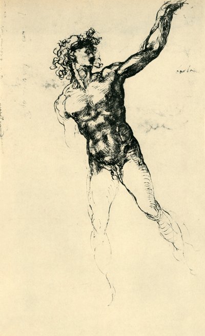 男性裸体（1503-1504），1943年。 作者 米开朗基罗（Michelangelo Buonarroti）