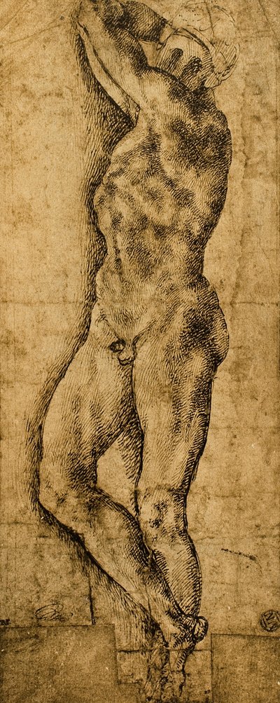 男性裸体;米开朗基罗画的。巴黎的卢浮宫 作者 米开朗基罗（Michelangelo Buonarroti）