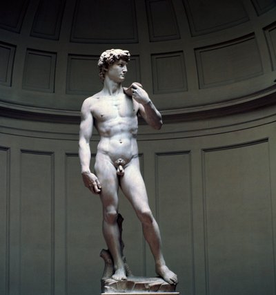 米开朗基罗的《大卫》，16世纪 作者 米开朗基罗（Michelangelo Buonarroti）