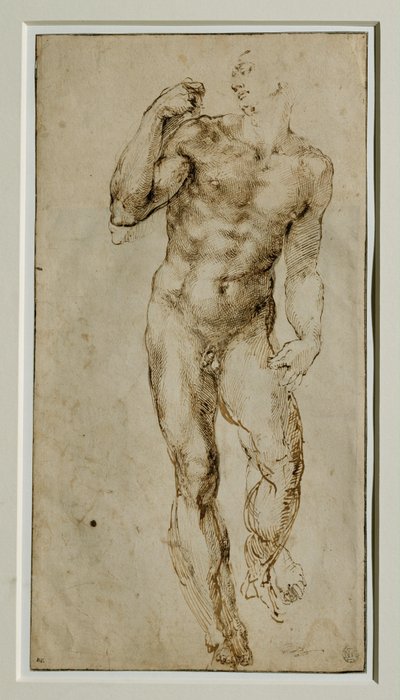 男性裸体，正面，约 1502-1506 ... 作者 米开朗基罗（Michelangelo Buonarroti）