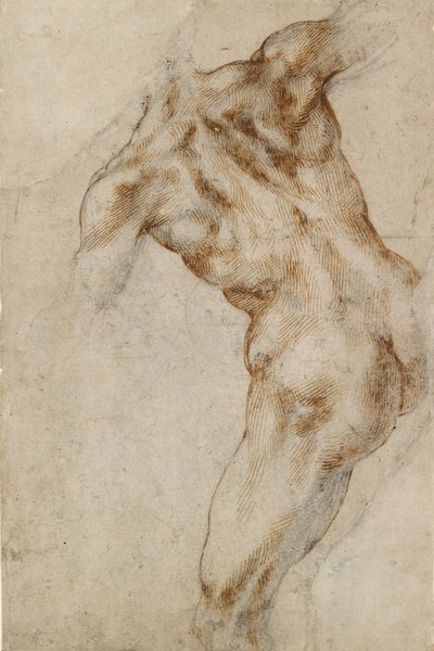 男性裸体躯干，16世纪初 作者 米开朗基罗（Michelangelo Buonarroti）