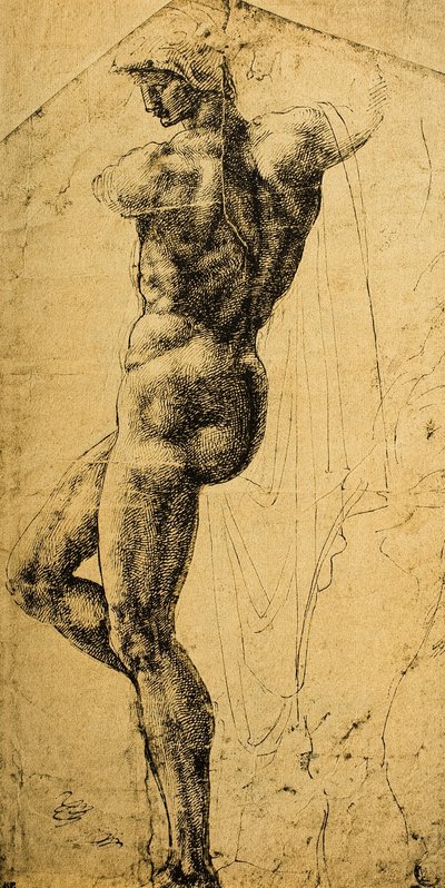 裸体研究;米开朗基罗画的。巴黎卢浮宫博物馆 作者 Michelangelo Buonarroti
