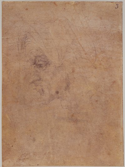 老妇人简介 作者 米开朗基罗（Michelangelo Buonarroti）