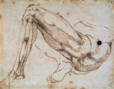 研究一条腿 作者 米开朗基罗（Michelangelo Buonarroti）
