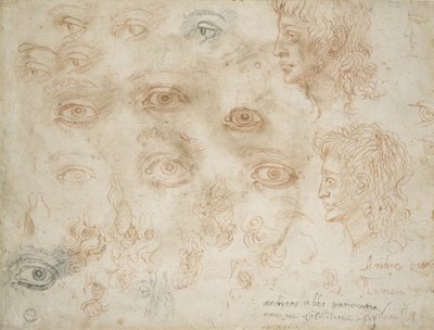 两头研究，第1525页（粉笔在纸上） 作者 米开朗基罗（Michelangelo Buonarroti）