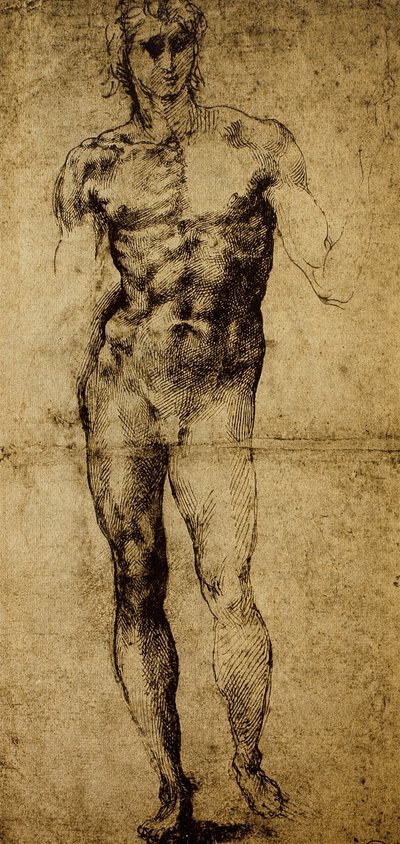 研究男性裸体，米开朗基罗·博纳罗蒂（1475-1564），绘画，巴黎，卢浮宫博物馆 作者 米开朗基罗（Michelangelo Buonarroti）