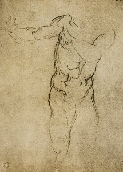 研究由米开朗基罗绘制的男性半身像。 Casa Buonarroti，佛罗伦萨 作者 米开朗基罗（Michelangelo Buonarroti）