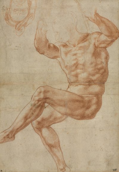 研究先知但以理的裸体青年时期，西斯廷天花板，1510-11年 作者 米开朗基罗（Michelangelo Buonarroti）