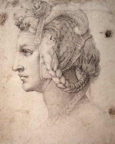 头脑研究 作者 米开朗基罗（Michelangelo Buonarroti）