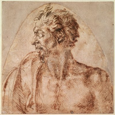 头肩研究（纸上墨水） 作者 米开朗基罗（Michelangelo Buonarroti）