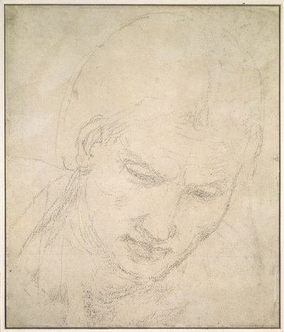 研究一个头（白纸上的黑色粉笔） 作者 米开朗基罗（Michelangelo Buonarroti）