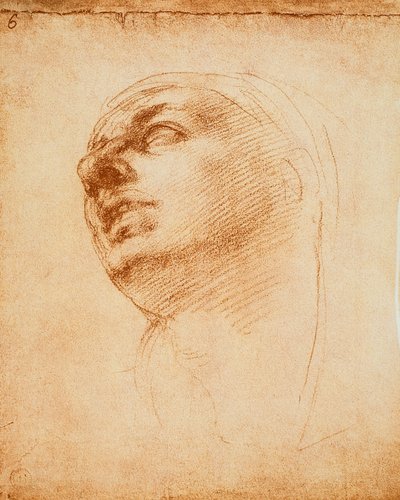 研究一张脸，由米开朗基罗绘制。 Casa Buonarroti，佛罗伦萨 作者 米开朗基罗（Michelangelo Buonarroti）