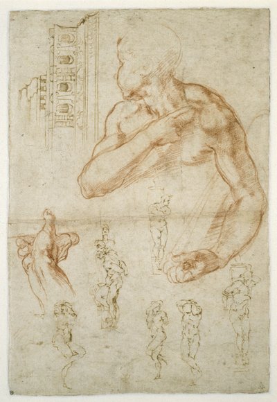 关于利比亚Sibyl协助图的研究，c.1512（红色粉笔和笔在纸上） 作者 米开朗基罗（Michelangelo Buonarroti）