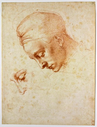 研究Leda的头部，大约1530年 作者 米开朗基罗（Michelangelo Buonarroti）