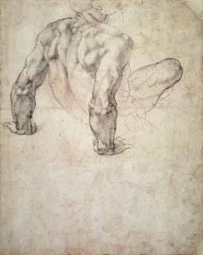 W.63r研究男性裸体，靠在他的手上 作者 米开朗基罗（Michelangelo Buonarroti）