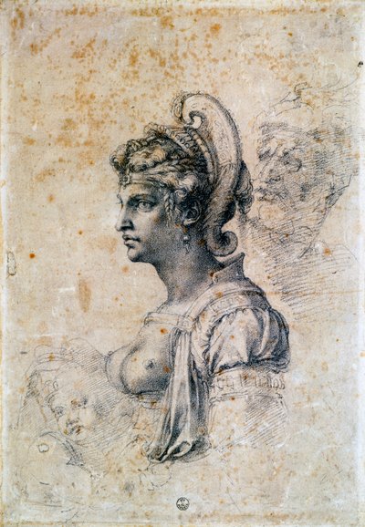 泽诺比亚 作者 米开朗基罗（Michelangelo Buonarroti）