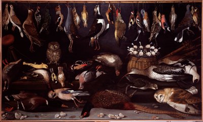 静物与鸟（鸟） 画作归属于米开朗基罗-梅里西dit Caravaggio（卡拉瓦乔）（1571-1610） 罗马博尔赫斯画廊 作者 米开朗基罗·梅里西·达（客座）卡拉瓦乔