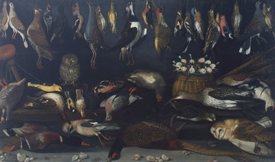 哈特福德静物画大师的《鸟的静物》（布面油画 作者 米开朗基罗·梅里西·达·卡拉瓦乔