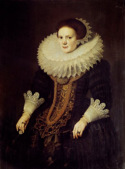 米歇尔-范-米耶弗德（1567-1641）的荷兰妇女肖像画 作者 米歇尔·詹斯（Michiel Jansz）。范·米耶维德