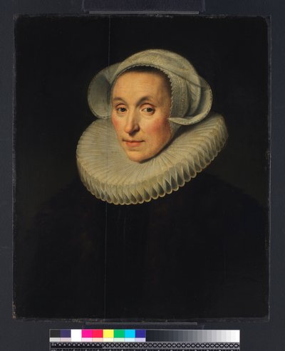 夫人的画像，1615年 作者 米歇尔·詹斯（Michiel Jansz）。范·米耶维德