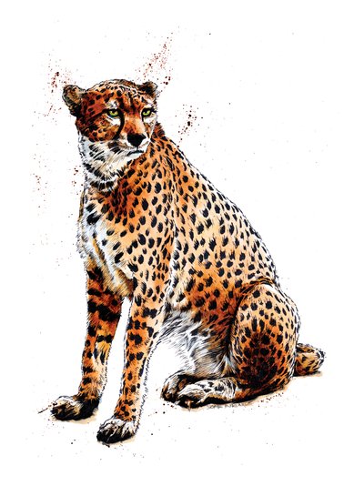 白色猎豹，2020 年 作者 迈克·戴维斯