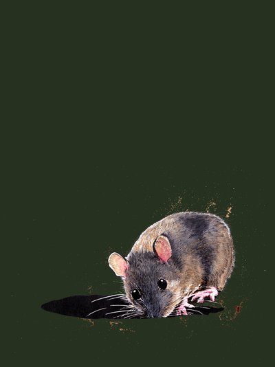 森林绿地上的木屋，2020 年 作者 迈克·戴维斯